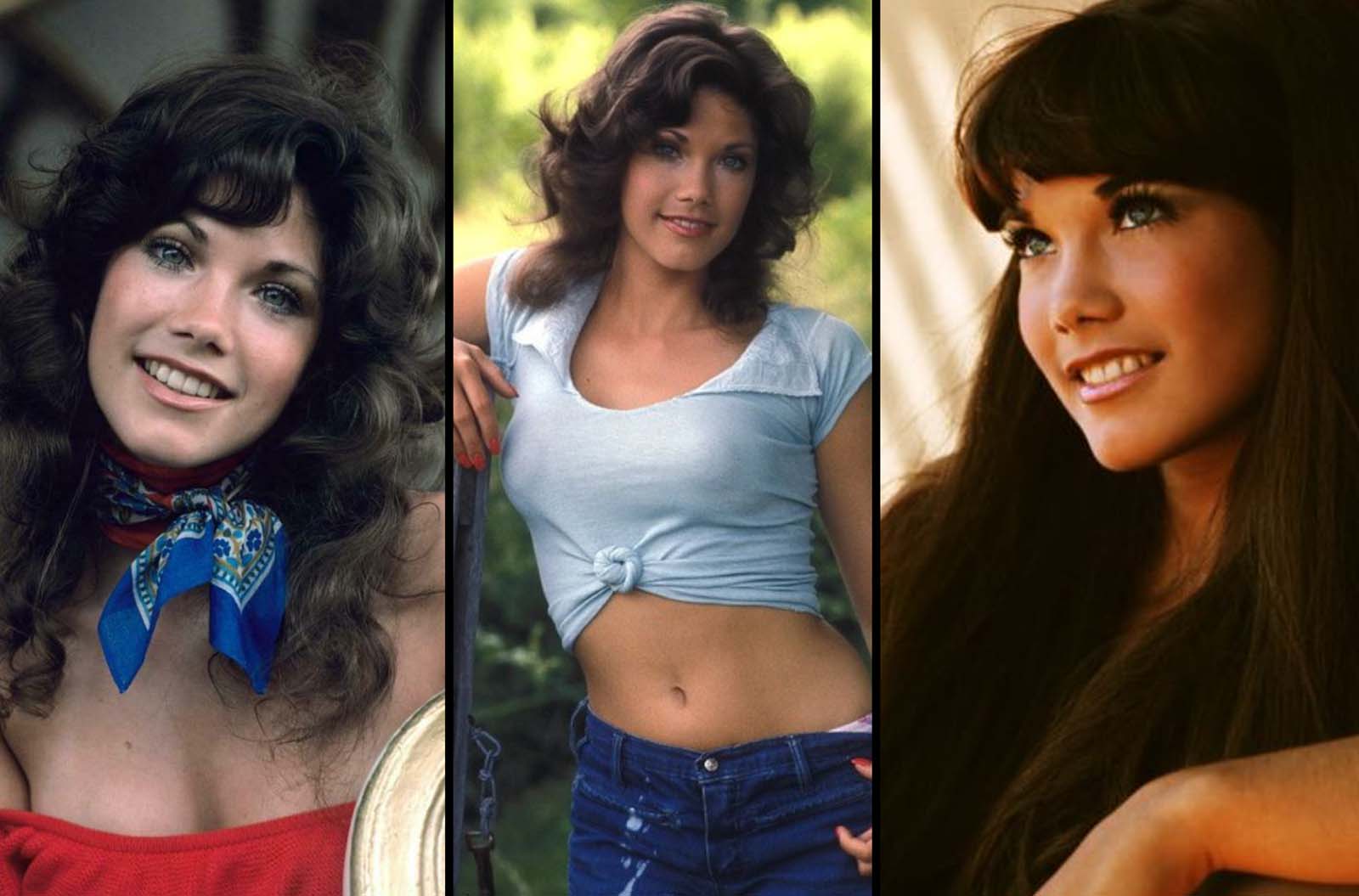 Barbi Benton is 74 – Prepare to Be Surprised by Her Look Now